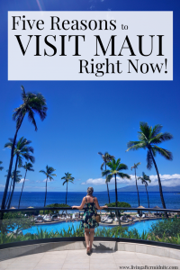 Five Reasons to Visit Maui Hawaii Right Now Things to Do in Maui