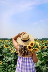 Why You Need To Visit A Sunflower Field