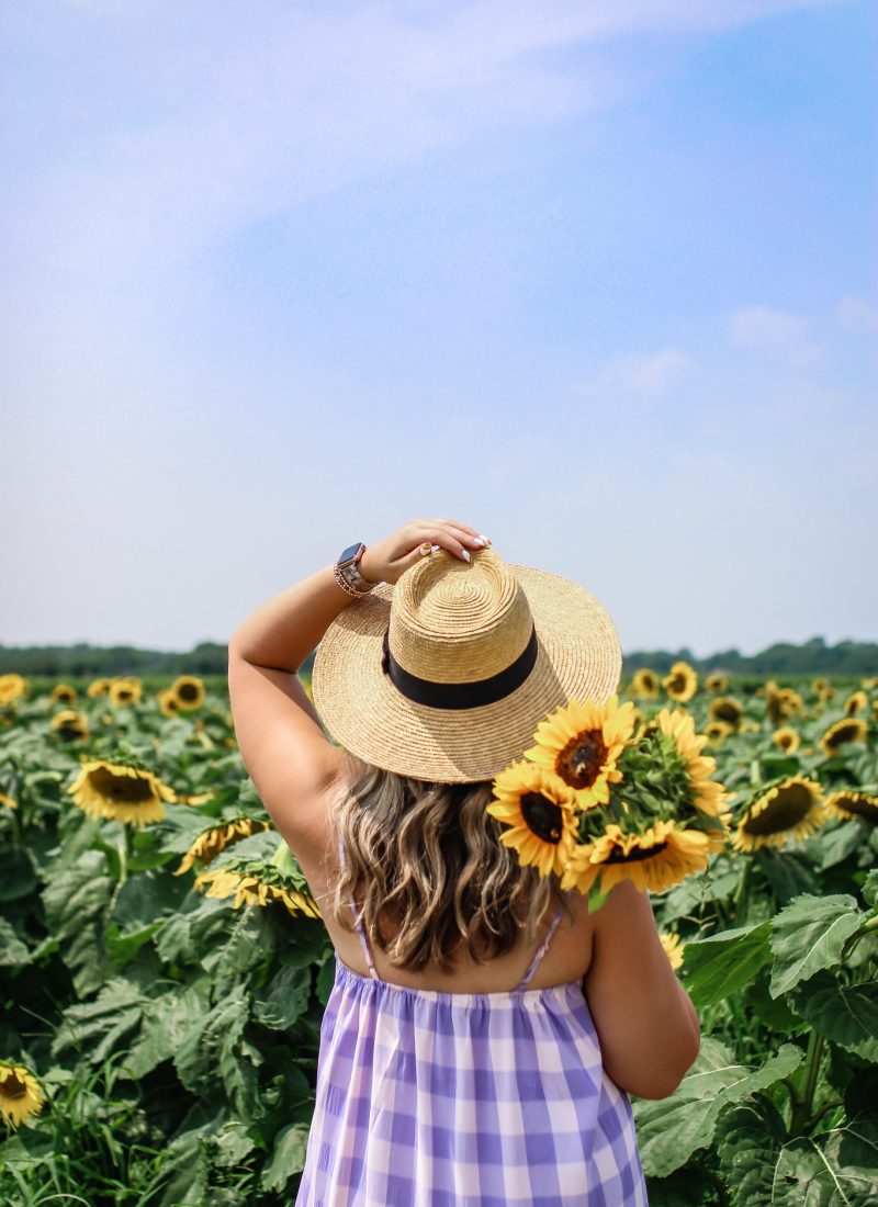 Why You Need To Visit A Sunflower Field This Year